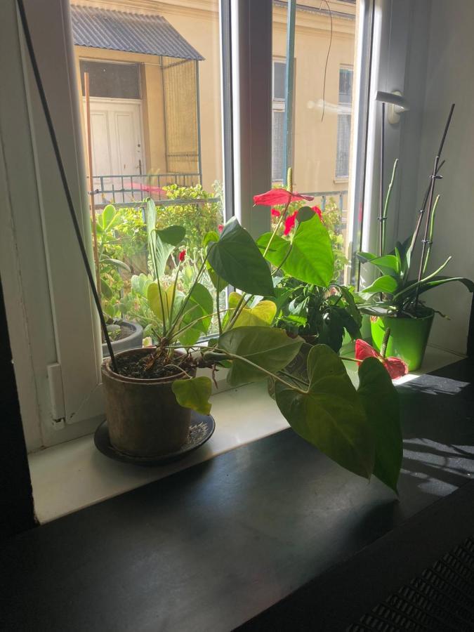 Oaza 26 Deo 2 Daire Belgrad Dış mekan fotoğraf